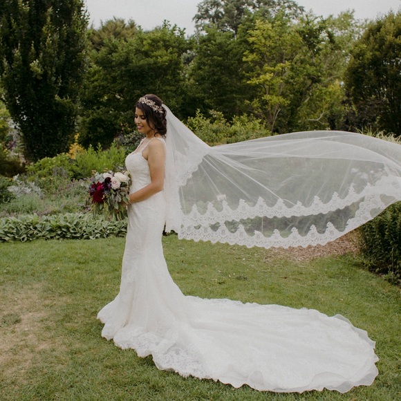 Stunning wedding dress with most beautiful back detail and train - Picture 5 of 5